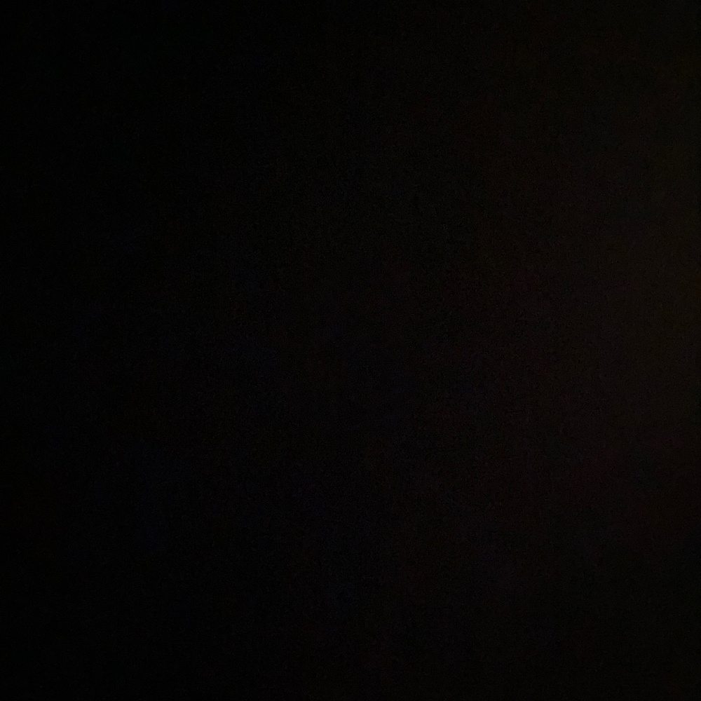 Meet your Posher, Evelyn